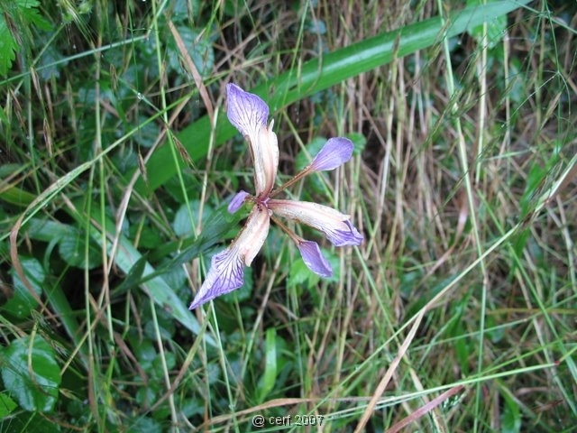 2007 05 Séjour en Brenne 082
